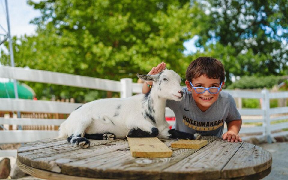 A child meeting a goat at Columbian Park Zoo in Lafayette